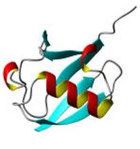 Lers: ubiquitin1