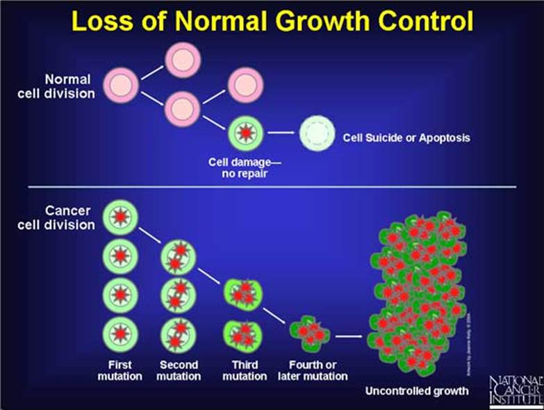 Loss of Normal Growth Control