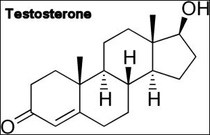 chemical structure of testosterone